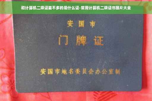 和计算机二级证差不多的是什么证-常用计算机二级证书图片大全