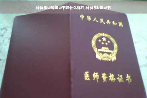 计算机证等级证书是什么样的,计算机b级证书