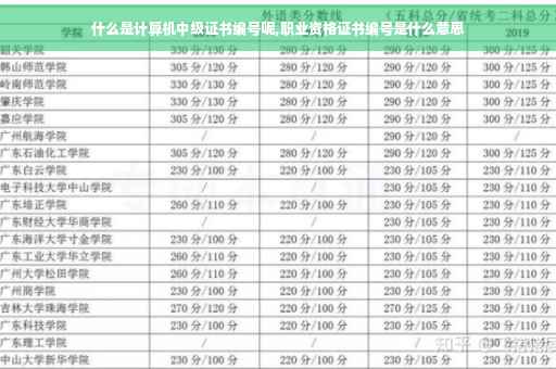 什么是计算机中级证书编号呢,职业资格证书编号是什么意思