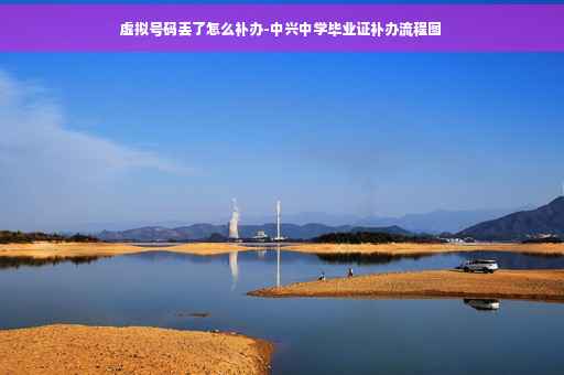 虚拟号码丢了怎么补办-中兴中学毕业证补办流程图