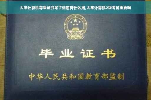 大学计算机等级证书考了到底有什么用,大学计算机2级考试重要吗
