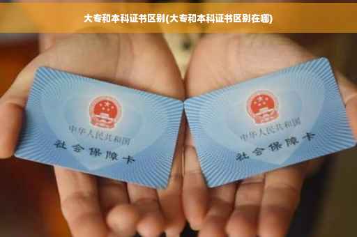 大专和本科证书区别(大专和本科证书区别在哪)