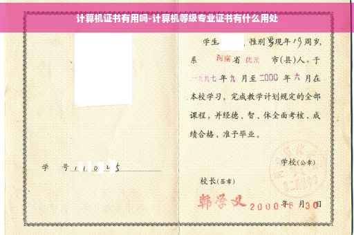 计算机证书有用吗-计算机等级专业证书有什么用处