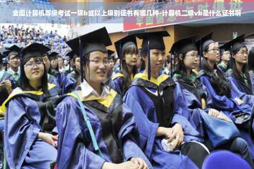 全国计算机等级考试一级b或以上级别证书有哪几种-计算机二级vb是什么证书啊
