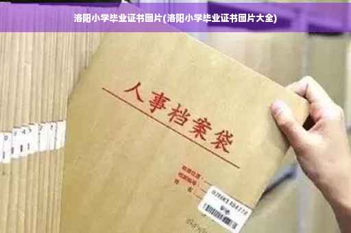 洛阳小学毕业证书图片(洛阳小学毕业证书图片大全)