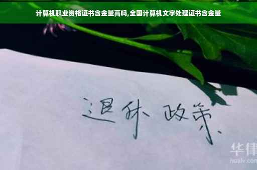 计算机职业资格证书含金量高吗,全国计算机文字处理证书含金量
