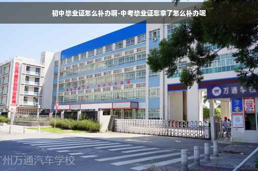 初中毕业证怎么补办啊-中考毕业证忘拿了怎么补办呢