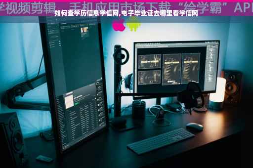 如何查学历信息学信网,电子毕业证去哪里看学信网