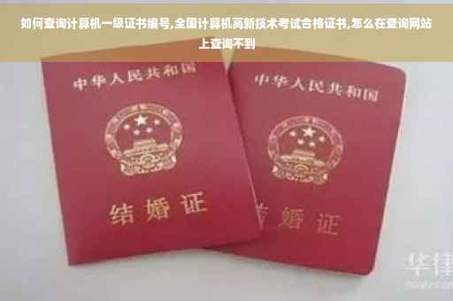 如何查询计算机一级证书编号,全国计算机高新技术考试合格证书,怎么在查询网站上查询不到