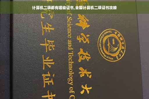 计算机二级都有哪些证书,全国计算机二级证书攻略