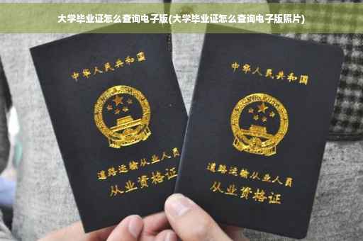 大学毕业证怎么查询电子版(大学毕业证怎么查询电子版照片)