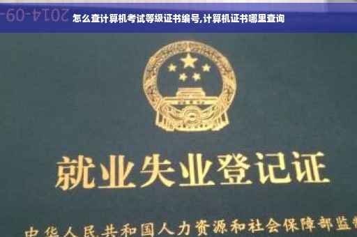 怎么查计算机考试等级证书编号,计算机证书哪里查询