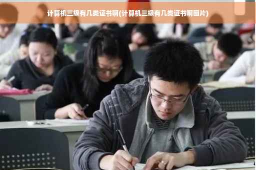 计算机三级有几类证书啊(计算机三级有几类证书啊图片)