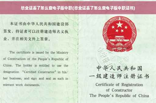 毕业证丢了怎么查电子版中职(毕业证丢了怎么查电子版中职证书)