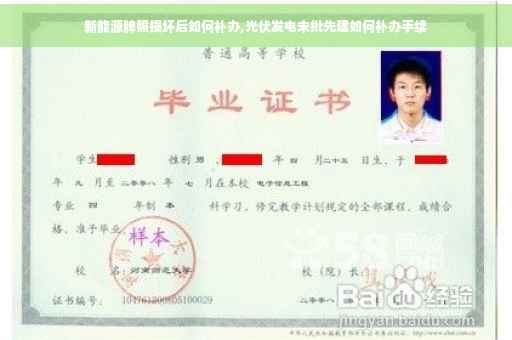 新能源牌照损坏后如何补办,光伏发电未批先建如何补办手续