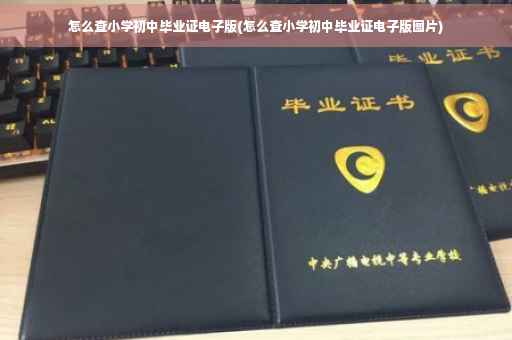 怎么查小学初中毕业证电子版(怎么查小学初中毕业证电子版图片)