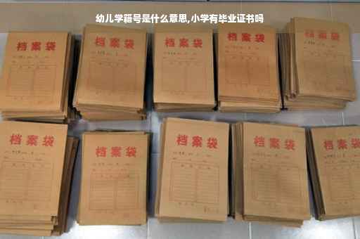 幼儿学籍号是什么意思,小学有毕业证书吗
