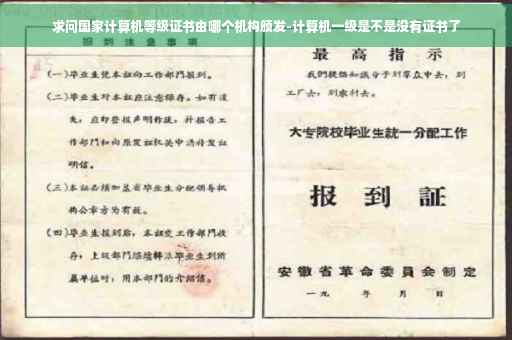 求问国家计算机等级证书由哪个机构颁发-计算机一级是不是没有证书了