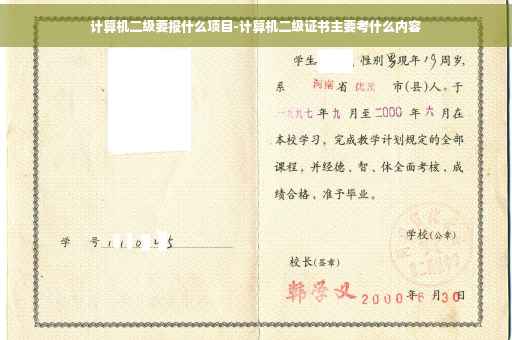 计算机二级要报什么项目-计算机二级证书主要考什么内容