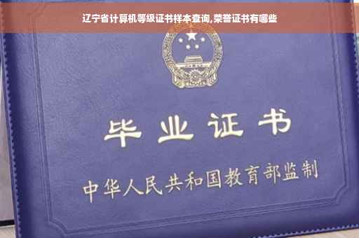 辽宁省计算机等级证书样本查询,荣誉证书有哪些