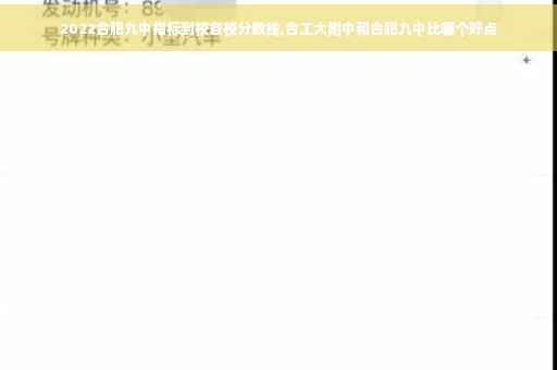 2022合肥九中指标到校各校分数线,合工大附中和合肥九中比哪个好点