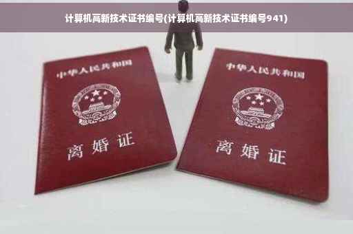 计算机高新技术证书编号(计算机高新技术证书编号941)