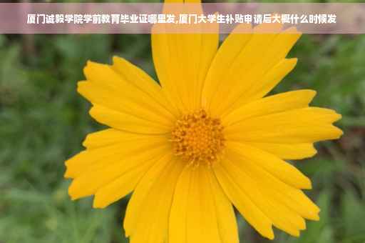 厦门诚毅学院学前教育毕业证哪里发,厦门大学生补贴申请后大概什么时候发