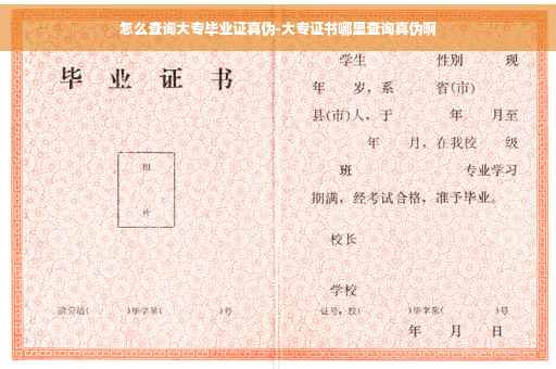 怎么查询大专毕业证真伪-大专证书哪里查询真伪啊