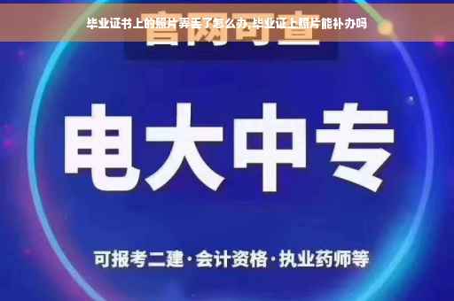 毕业证书上的照片弄丢了怎么办,毕业证上照片能补办吗