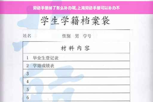 劳动手册掉了怎么补办呢,上海劳动手册可以补办不