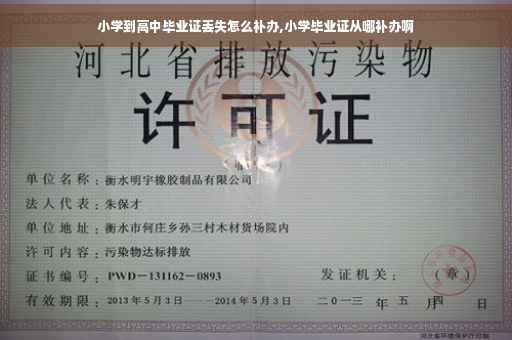 小学到高中毕业证丢失怎么补办,小学毕业证从哪补办啊