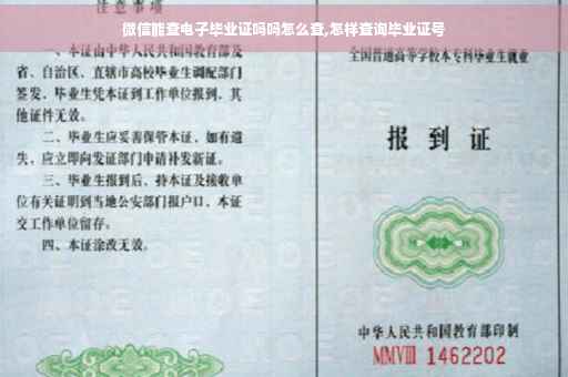 微信能查电子毕业证吗吗怎么查,怎样查询毕业证号