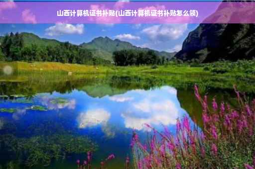 山西计算机证书补贴(山西计算机证书补贴怎么领)
