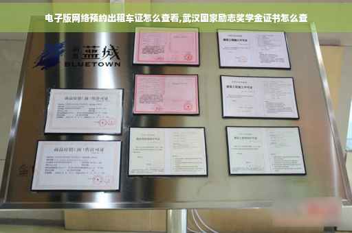 电子版网络预约出租车证怎么查看,武汉国家励志奖学金证书怎么查