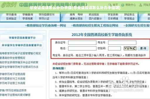 毕业证应该怎么补办手续(毕业证应该怎么补办手续呢)