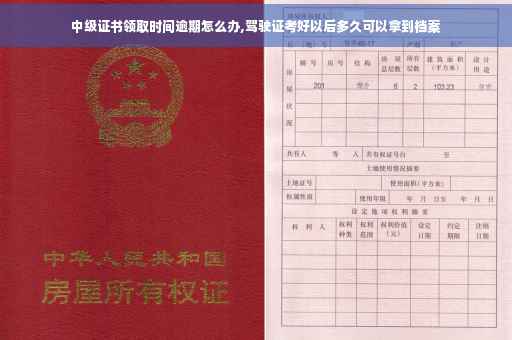 中级证书领取时间逾期怎么办,驾驶证考好以后多久可以拿到档案