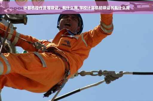 计算机操作员等级证。有什么用,学校计算机初级证书有什么用