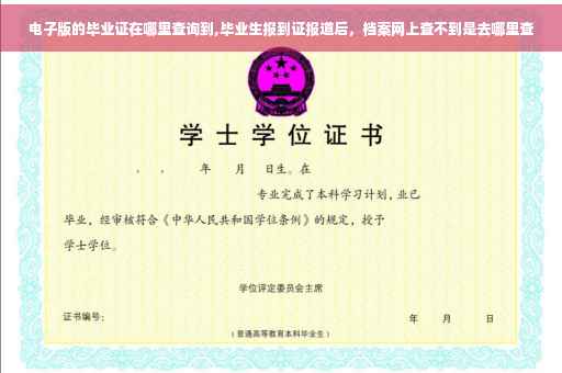 电子版的毕业证在哪里查询到,毕业生报到证报道后，档案网上查不到是去哪里查