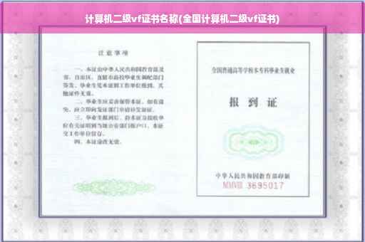 计算机二级vf证书名称(全国计算机二级vf证书)