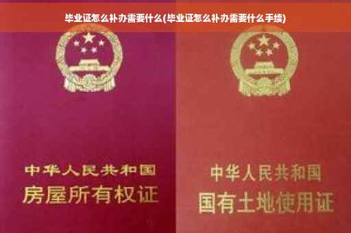 毕业证怎么补办需要什么(毕业证怎么补办需要什么手续)