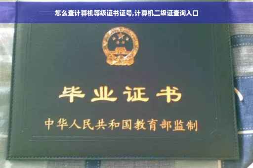 怎么查计算机等级证书证号,计算机二级证查询入口