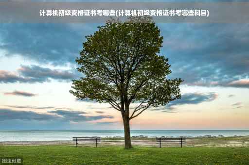 计算机初级资格证书考哪些(计算机初级资格证书考哪些科目)