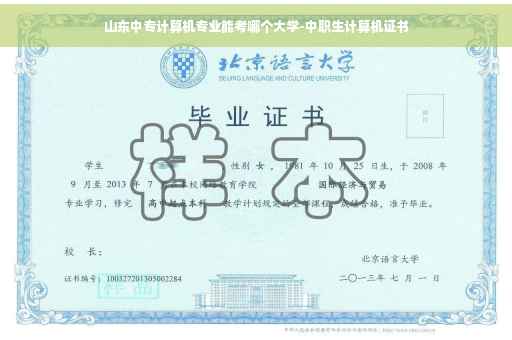 山东中专计算机专业能考哪个大学-中职生计算机证书
