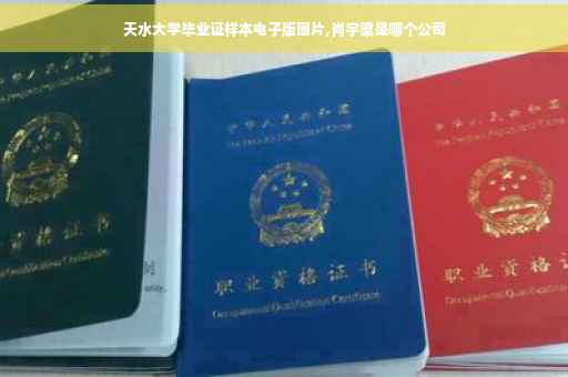 天水大学毕业证样本电子版图片,肖宇梁是哪个公司