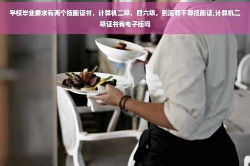 学校毕业要求有两个技能证书，计算机二级，四六级，到底算不算技能证,计算机二级证书有电子版吗