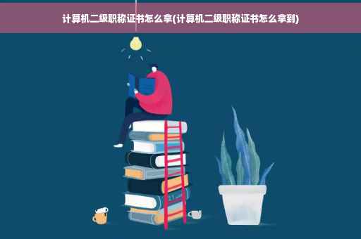 计算机二级职称证书怎么拿(计算机二级职称证书怎么拿到)