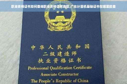 职业资格证书如何查询职业资格证书真假,广东计算机基础证书在哪里能查