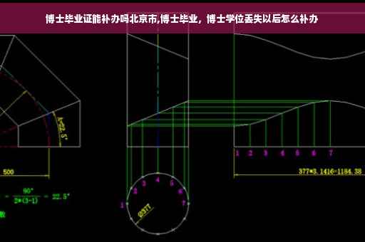 博士毕业证能补办吗北京市,博士毕业，博士学位丢失以后怎么补办