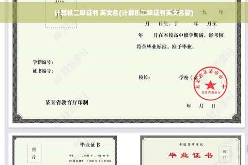 计算机二级证书 英文名(计算机二级证书英文名称)