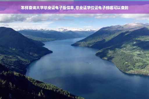 怎样查询大学毕业证电子版信息,毕业证学位证电子档哪可以查到